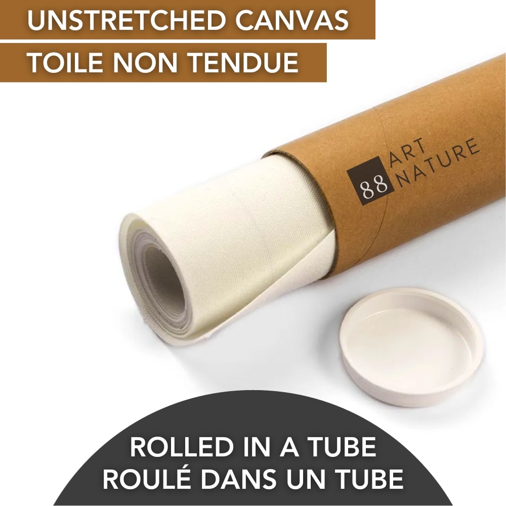 Un jour c'était la nuit