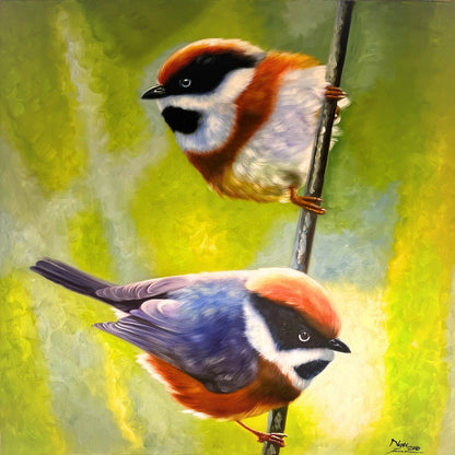 Couple d'oiseaux